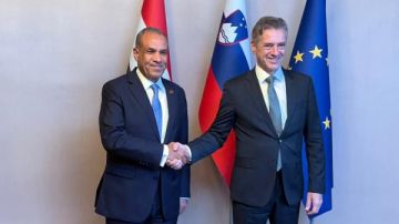 وزير الخارجية يلتقي رئيس وزراء سلوفينيا لبحث التعاون وقضية غزة