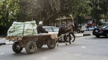 إصابة 4 أشخاص من أسرة واحدة في انقلاب كارو بالوادي الجديد