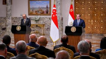 رئيس سنغافورة : مصر لديها إمكانات واعدة وهذا هو الوقت المناسب لدعم التعاون الاقتصادي بين البلدين