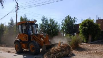 محافظ بني سويف: إزالة 400 حالة تعد على الزراعات وأملاك الدولة