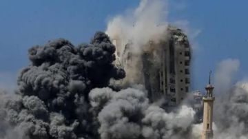 أبو زيد: حجم المعاناة في غزة دفع الموقف الأوروبي إلى التحول والضغط على الحكومات أبو زيد: حجم المعاناة في غزة دفع الموقف الأوروبي إلى التحول والضغط على الحكومات