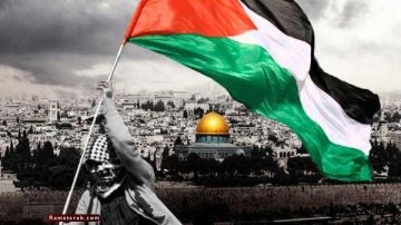 شقير: تحذيرات ماكرون تعكس ثقته في القيادة المصرية