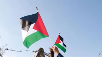 إعلان الدولة الفلسطينية.. ألمانيا تقرر دعم مقترح فرنسا لحل الدولتين