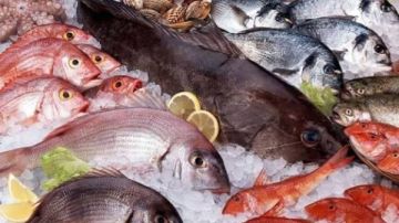 استقرار أسعار الأسماك وارتفاع طفيف في ثمن الجمبري بالأسواق المحلية استقرار أسعار الأسماك وارتفاع طفيف في ثمن الجمبري بالأسواق المحلية