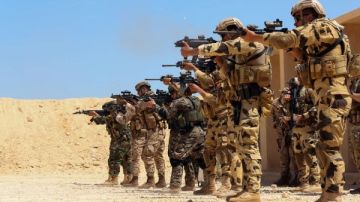 النجم الساطع 2025.. تنفيذ رمايات بالذخيرة الحية والتدريب على الحروب الحديثة