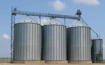 عمومية مطاحن وسط وغرب الدلتا تقرر توزيع 36 جنيها للسهم وبيع أرض منوف