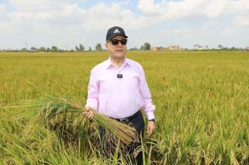 محافظ كفر الشيخ يشهد انطلاق موسم حصاد الأرز بقرية إبشان بمركز بيلا.. صور محافظ كفر الشيخ يشهد انطلاق موسم حصاد الأرز بقرية إبشان بمركز بيلا.. صور