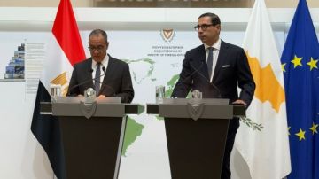 مصر وقبرص تؤكدان عمق الشراكة وترفضان مخططات تهجير الفلسطينيين