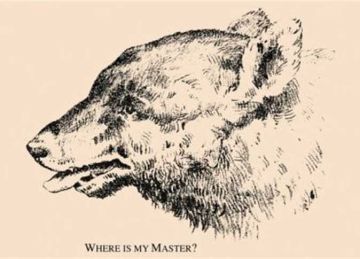 5 استراحة اعثر على الرجل المخفي في الدب خلال 25 ثانية 5 استراحة اعثر على الرجل المخفي في الدب خلال 25 ثانية