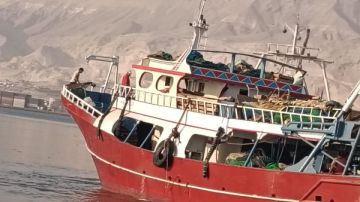 بعد توقف 4 أشهر.. انطلاق موسم الصيد بخليج السويس لحرفتي الجر والسنار صور بعد توقف 4 أشهر.. انطلاق موسم الصيد بخليج السويس لحرفتي الجر والسنار صور