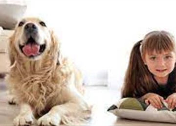  العاطفة والحنان .. ما هي المشاعر المشتركة بين الإنسان والحيوان؟