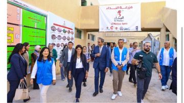  المشاط : مشروعات في الصعيد لتوفير فرص العمل ورفع مستوى معيشة المواطنين