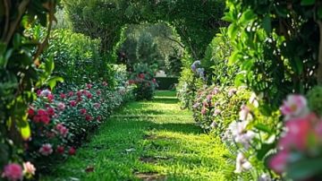 ماذا يحدث للجسم عند المشي بعد الظهر؟ ماذا يحدث للجسم عند المشي بعد الظهر؟