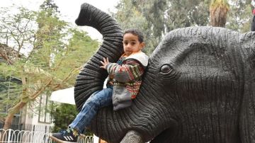 موعد افتتاح حديقة الحيوان في الجيزة وأسعار التذاكر لجميع الفئات