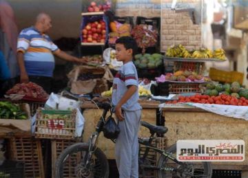 البصل الأبيض بـ 15 جنيها للكيلو .. أسعار الخضار في مطروح اليوم