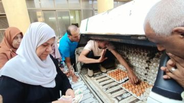 بأسعار مخفضة.. الزراعة تطلق منافذ لبيع البيض بالقاهرة والجيزة