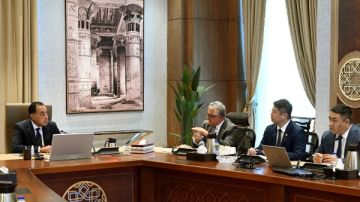 رئيس الوزراء يلتقي مسئولى شركة صن ريف الصينية المتخصصة في إنتاج مكونات الطاقة المتجددة