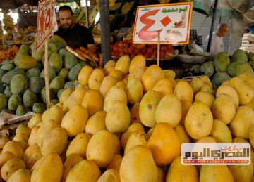 أسعار الفاكهة اليوم الخميس 11 سبتمبر 2025 في أسواق الأقصر