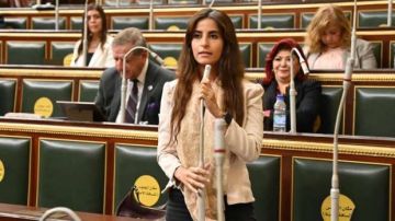 خارجية النواب: كلمة الرئيس السيسي في قمة البريكس جسدت رؤية مصرية متكاملة للتعامل مع التحديات الدولية