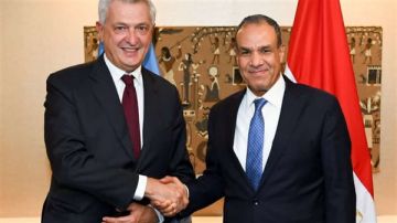 وزير الخارجية يبحث مع مفوض الأمم المتحدة لشئون اللاجئين دعم مصر وجهود وقف العدوان على غزة