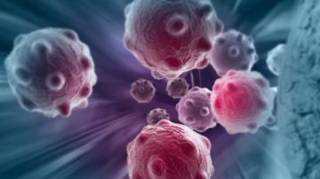 أهم 8 أطعمة مضادة للسرطان.. ودورها في تقليل خطر الإصابة