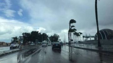 بين الشائعات والتوضيحات الرسمية.. حقيقة ما يثار حول شتاء 2025 الأبرد على الإطلاق