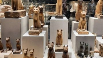 متحف شرم الشيخ يقيم فعالية رموز وسياحة بمناسبة ذكرى فك رموز حجر رشيد