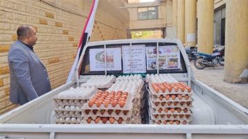 الزراعة تطلق 6 منافذ متنقلة لبيع البيض بأسعار مخفضة