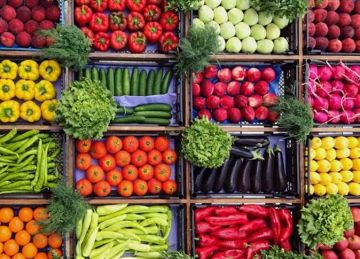 كيلو البرتقال بـ 30 جنيها.. أسعار الفاكهة في مطروح اليوم 23 سبتمبر 2025