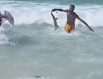 مصر.. تمساح يثير الرعب بين المصطافين على شاطئ الإسكندرية (فيديو)