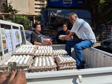  الزراعة تطلق 6 منافذ متنقلة لبيع بيض المائدة بأسعار مخفضة بالقاهرة والجيزة