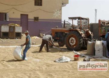 بكام الطن؟.. أسعار الأرز الشعير والأبيض اليوم الثلاثاء 16-9-2025 بـ أسواق الشرقية