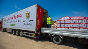 مصر تواصل قوافل المساعدات للمستحقين فى غزة رغم تعنت الاحتلال