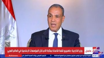 وزير الخارجية: ما يحدث في غزة يهدد القضية الفلسطينية