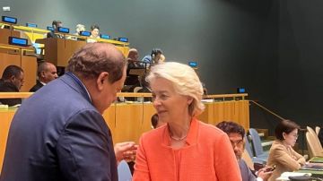 أبو العينين يشارك في مؤتمر حل الدولتين بالجمعية العامة للأمم المتحدة