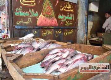 البوري بـ220 جنيها.. أسعار الأسماك والمأكولات البحرية بسوق العبور اليوم الثلاثاء