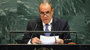 مصر تشن هجوما على إسرائيل بالأمم المتحدة.. الصحف العبرية تستشهد بقناة صدى البلد بعد كلمة عبدالعاطي 