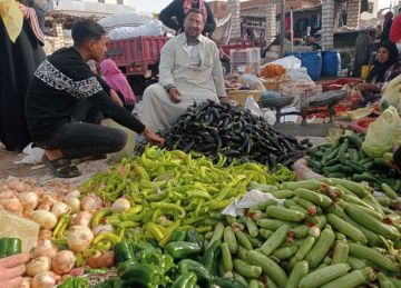 الكوسة بـ25 جنيها.. أسعار الخضار والفاكهة اليوم الإثنين 15 سبتمبر 2025 في الشرقية