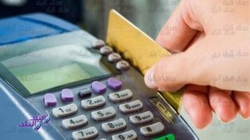 منافذ دفع مصروفات المدارس التجريبية 2026 .. قرار عاجل من التعليم الآن