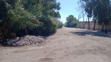 الإسكندرية.. إزالة المخلفات من الشوارع ورصد تجمعات قمامة