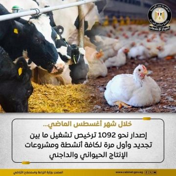 الزراعة: إصدار نحو 1092 ترخيص تشغيل ما بين تجديد وأول مرة لكافة أنشطة ومشروعات الثروة الحيوانية والعلفية والداجنة ومراكز تجميع الألبان الزراعة: إصدار نحو 1092 ترخيص تشغيل ما بين تجديد وأول مرة لكافة أنشطة ومشروعات الثروة الحيوانية والعلفية والداجنة ومراكز تجميع الألبان