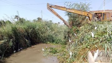 محافظ أسيوط: استمرار حملات تطهير الترع والمصارف لضمان وصول المياه للمزارعين