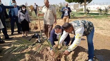هل يجوز إخراج الزكاة لزراعة النخل والزيتون؟.. أمين الفتوى يجيب