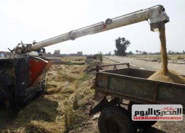 أسعار الأرز الشعير والأبيض اليوم الإثنين 1-9-2025 بـ أسواق الشرقية