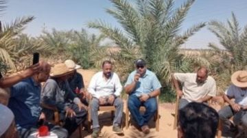 زراعة الوادى الجديد: ندوات إرشادية عن آفات النخيل وحماية محصول البلح