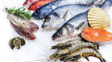 أسعار الأسماك والجمبري في الأسواق اليوم الخميس 4 سبتمبر 2025