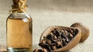 ماذا يحدث لسكر الدم عند شرب منقوع القرنفل يوميا؟