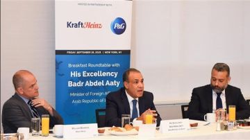 وزير الخارجية يدعو الشركات الأمريكية إلى توسيع استثماراتها في مصر