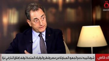 السفير الفرنسي لدى مصر: ندعم الجهود المبذولة من مصر وقطر والولايات المتحدة لوقف إطلاق النار في غزة السفير الفرنسي لدى مصر: ندعم الجهود المبذولة من مصر وقطر والولايات المتحدة لوقف إطلاق النار في غزة