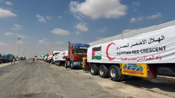 الهلال الأحمر المصري يدفع 2500 طن مساعدات غذائية وطبية عبر زاد العزة الـ35 إلى غزة
